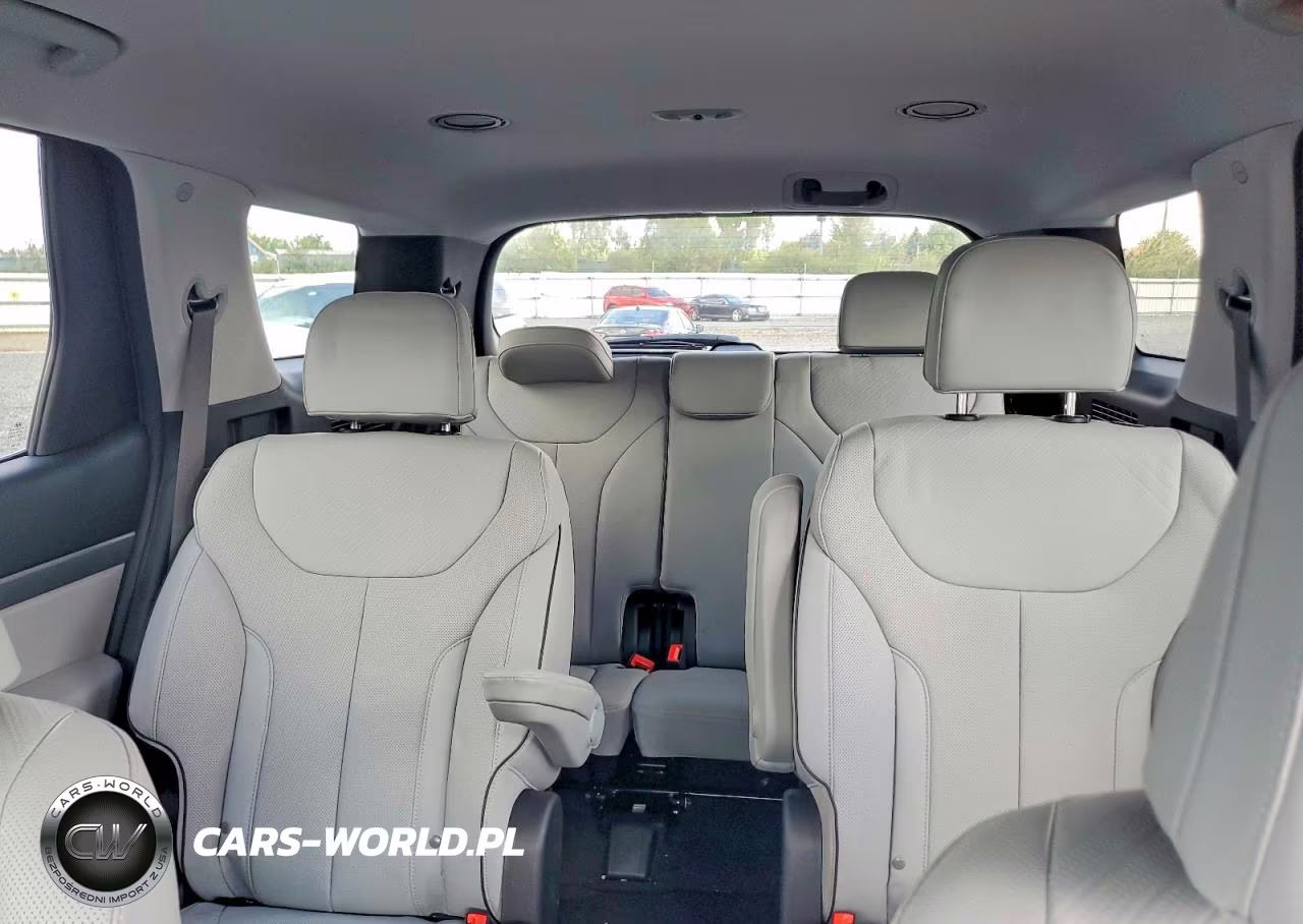 2025 Hyundai Palisade Sel VIN:KM8R2DGE9SU863509 - 10