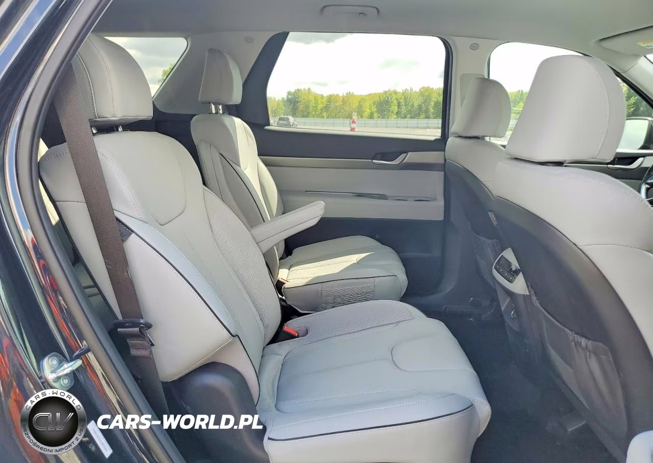 2025 Hyundai Palisade Sel VIN:KM8R2DGE9SU863509 - 11