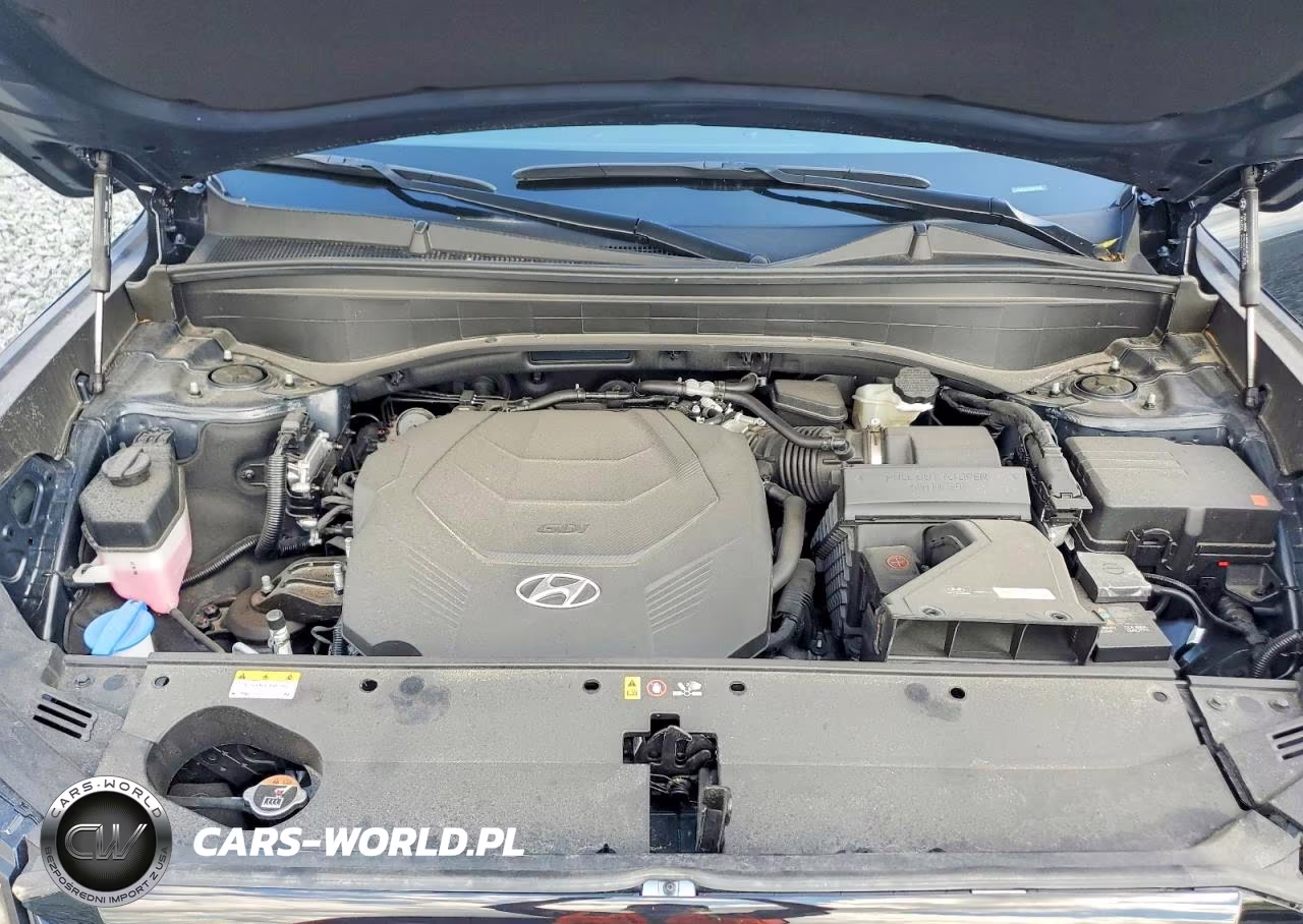 2025 Hyundai Palisade Sel VIN:KM8R2DGE9SU863509 - 12