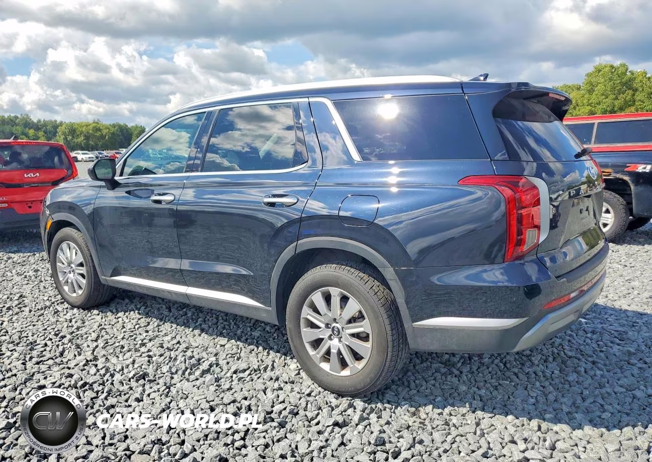2025 Hyundai Palisade Sel VIN:KM8R2DGE9SU863509 - 2