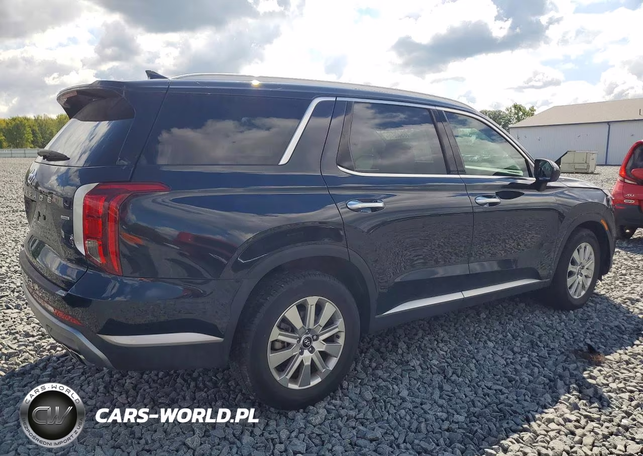 2025 Hyundai Palisade Sel VIN:KM8R2DGE9SU863509 - 3