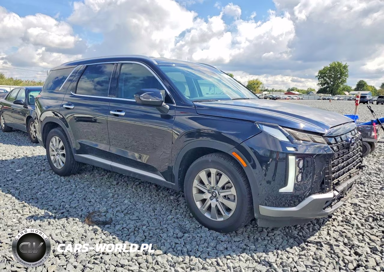 2025 Hyundai Palisade Sel VIN:KM8R2DGE9SU863509 - 4
