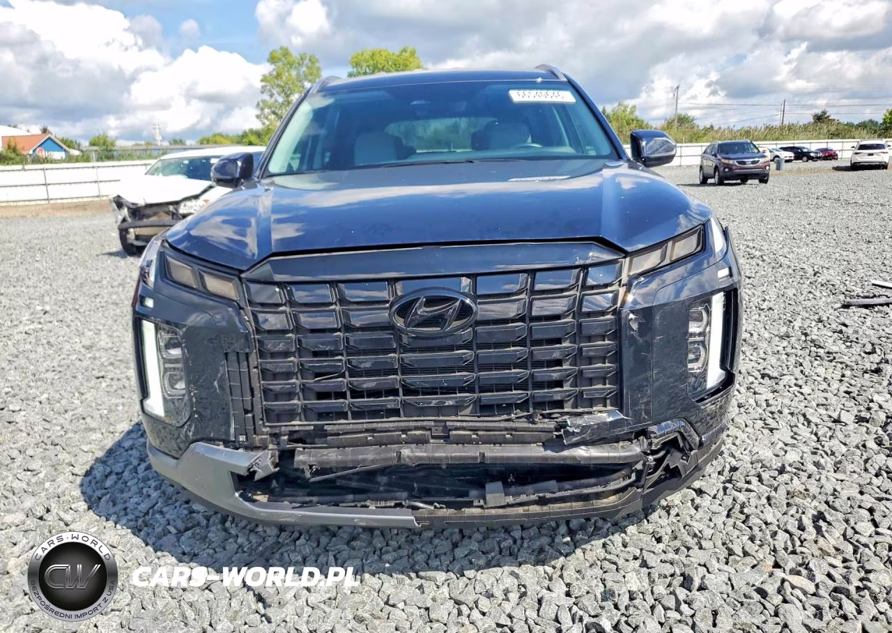2025 Hyundai Palisade Sel VIN:KM8R2DGE9SU863509 - 5