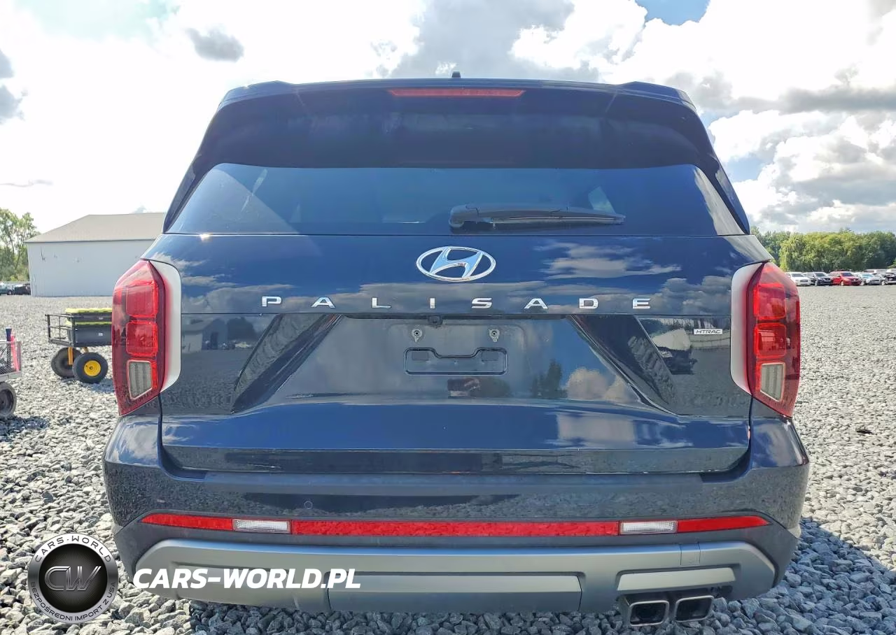 2025 Hyundai Palisade Sel VIN:KM8R2DGE9SU863509 - 6