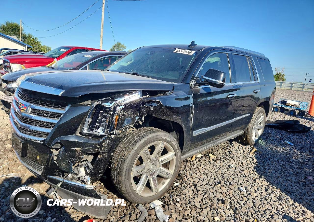 2015 Cadillac Escalade Premium VIN:1GYS4NKJ6FR549197 - 1