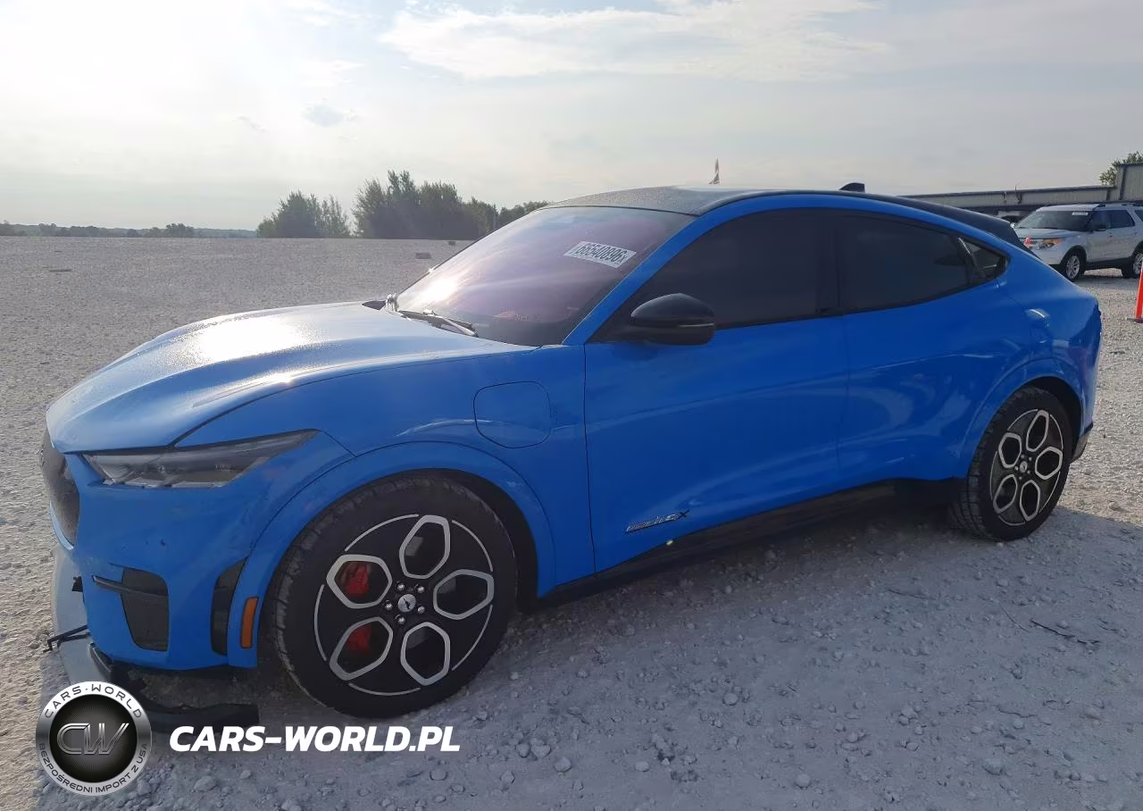 2021 Ford Mustang Mach-E Gt VIN:3FMTK4SE4MME04120 - 1