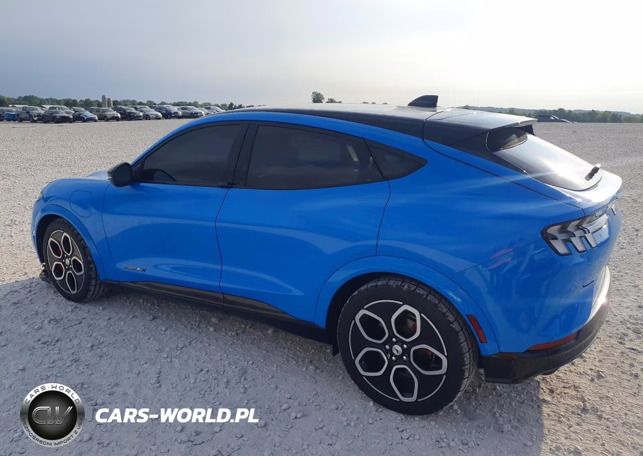 2021 Ford Mustang Mach-E Gt VIN:3FMTK4SE4MME04120 - 2