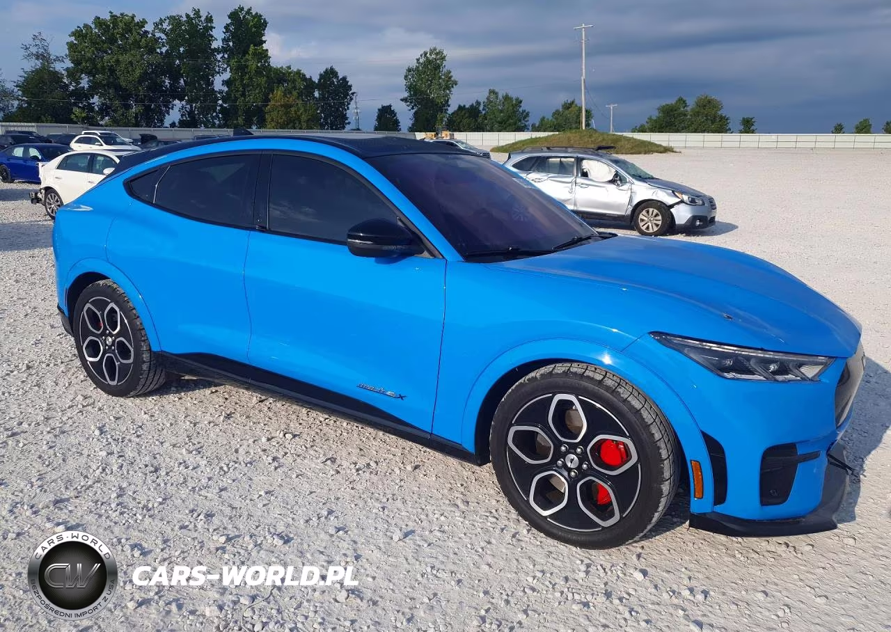 2021 Ford Mustang Mach-E Gt VIN:3FMTK4SE4MME04120 - 4