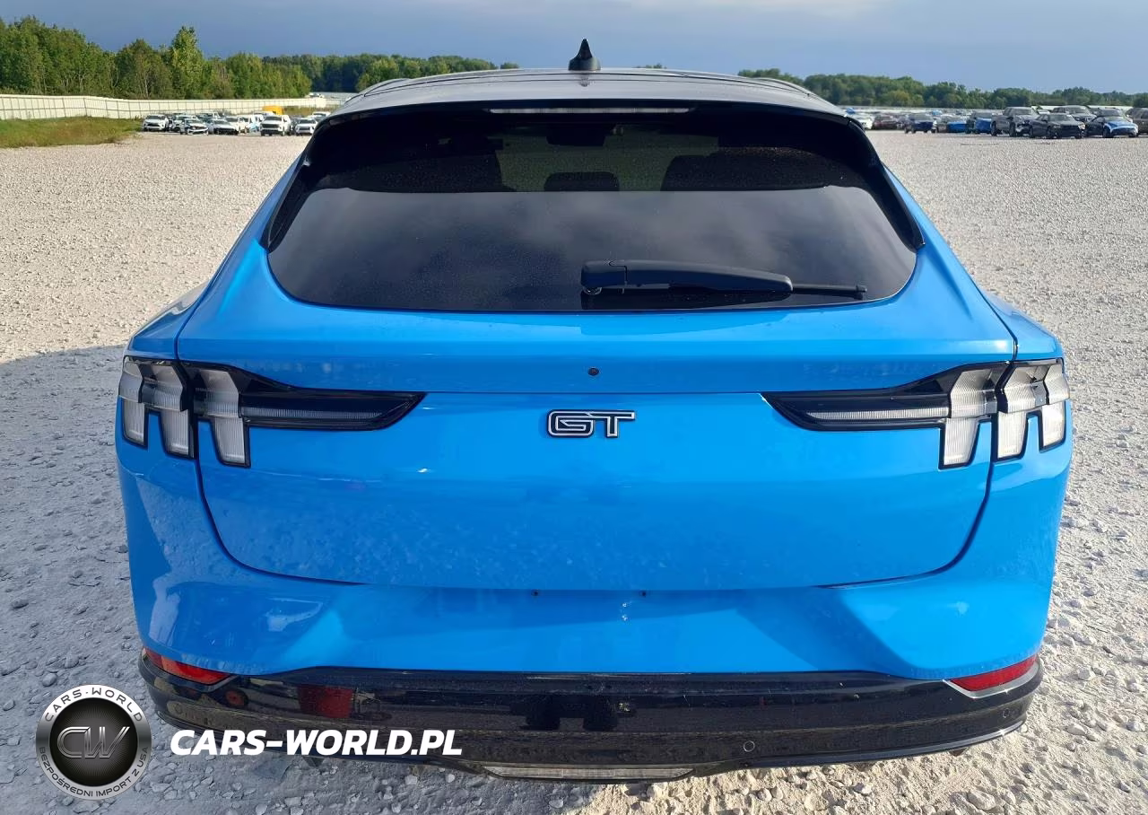 2021 Ford Mustang Mach-E Gt VIN:3FMTK4SE4MME04120 - 6