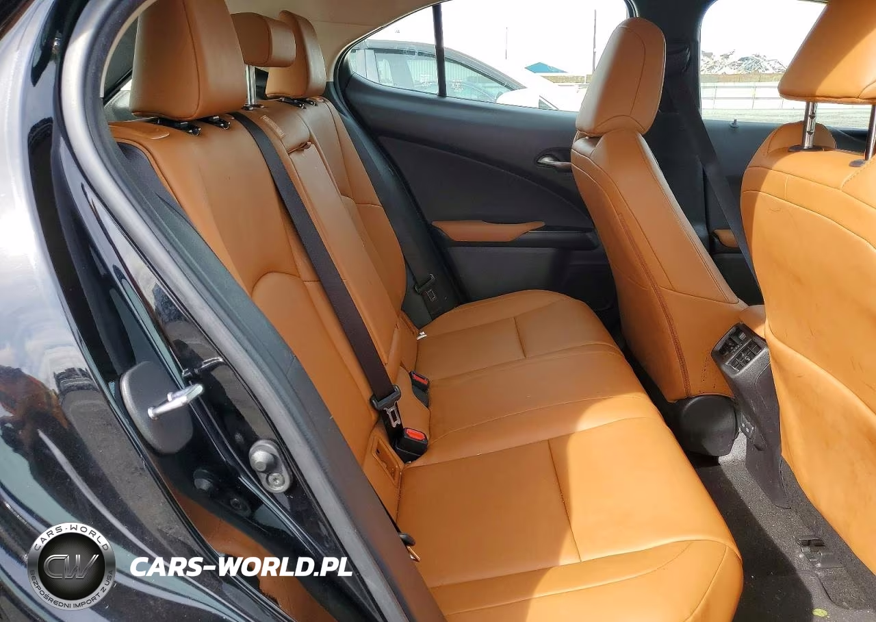 2021 Lexus Ux 250H VIN:JTHP9JBH3M2045925 - 10