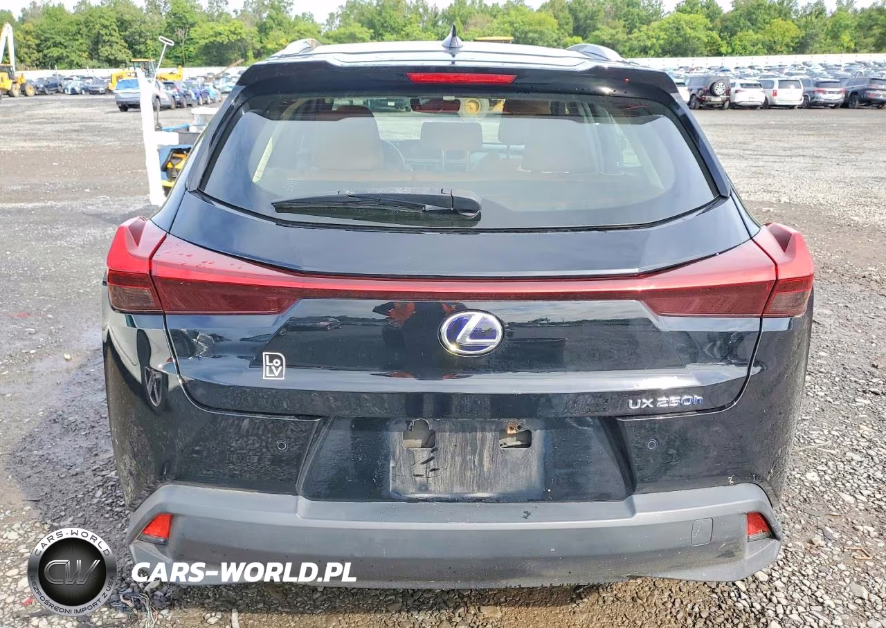 2021 Lexus Ux 250H VIN:JTHP9JBH3M2045925 - 6