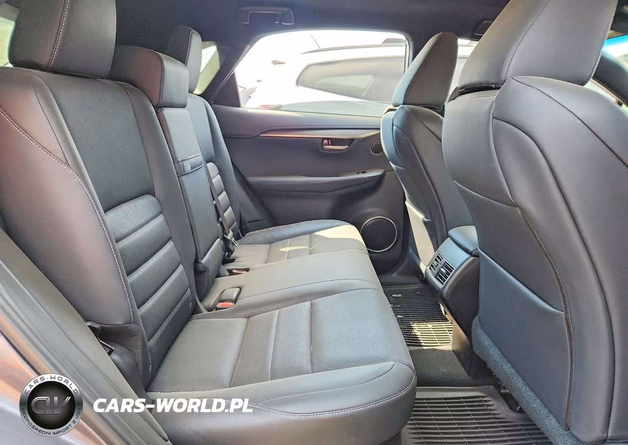 2015 Lexus Nx 200T VIN:JTJBARBZ1F2018989 - 10