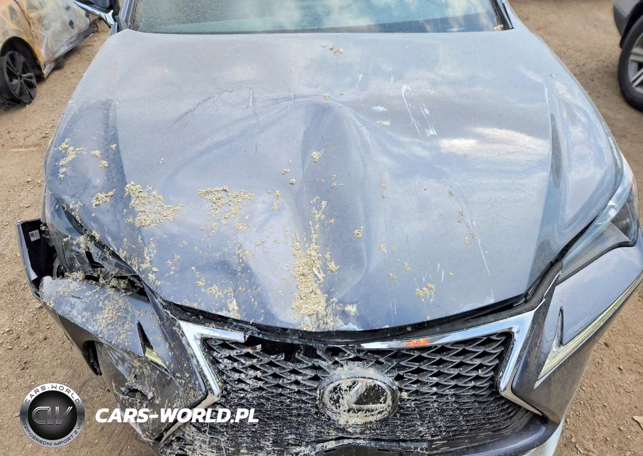 2015 Lexus Nx 200T VIN:JTJBARBZ1F2018989 - 11