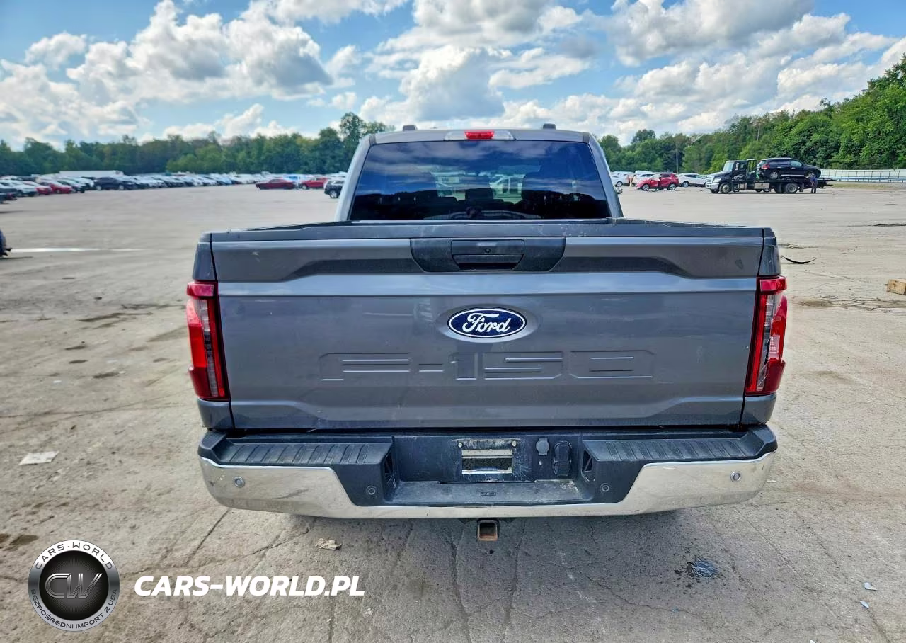 2024 Ford F150 Xl VIN:1FTEX1LP8RKE11891 - 6