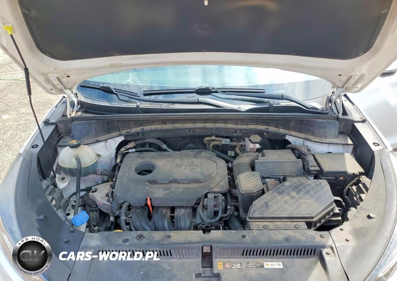 2019 Hyundai Tucson Limited VIN:KM8J33AL1KU991688 - 12