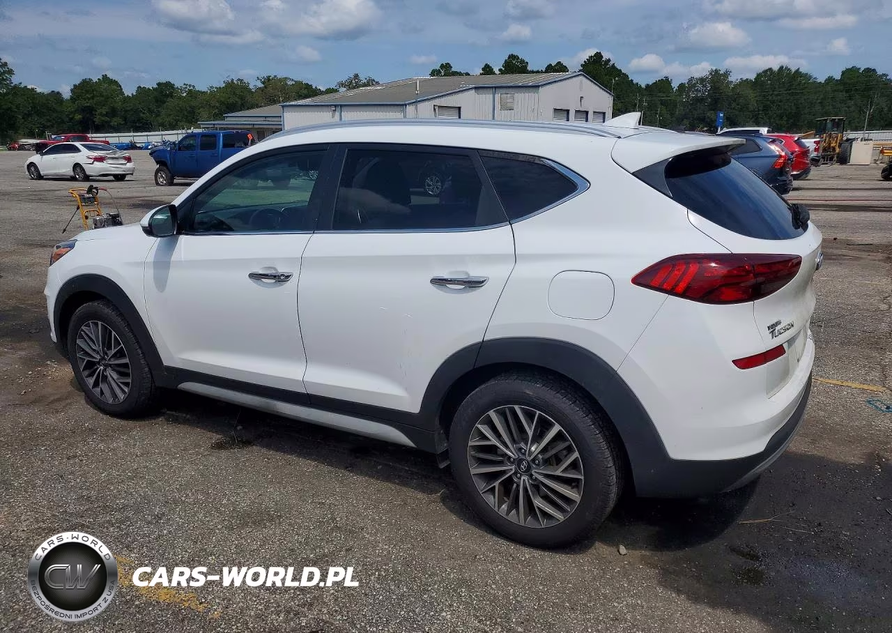 2019 Hyundai Tucson Limited VIN:KM8J33AL1KU991688 - 2