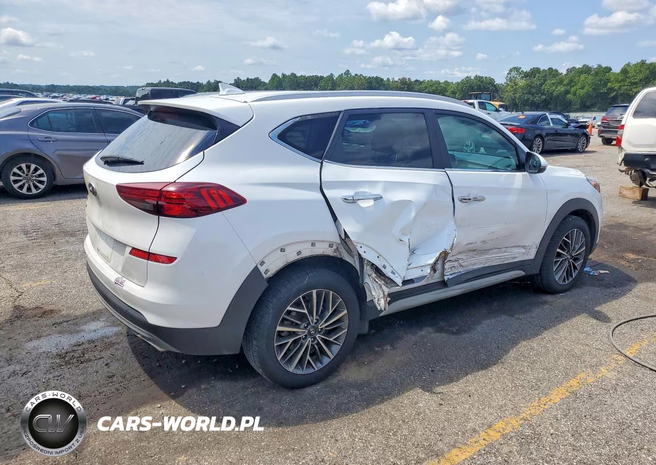 2019 Hyundai Tucson Limited VIN:KM8J33AL1KU991688 - 3