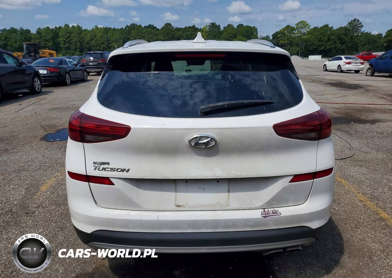 2019 Hyundai Tucson Limited VIN:KM8J33AL1KU991688 - 6