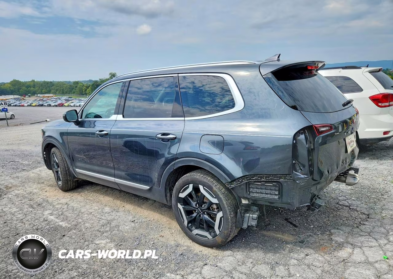 2024 Kia Telluride S VIN:5XYP6DGC5RG559541 - 2