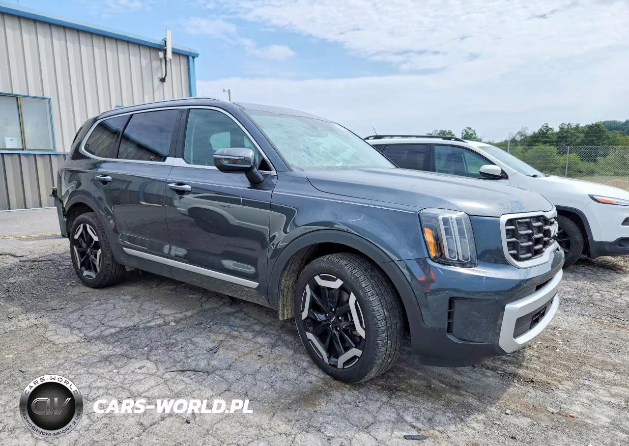 2024 Kia Telluride S VIN:5XYP6DGC5RG559541 - 4