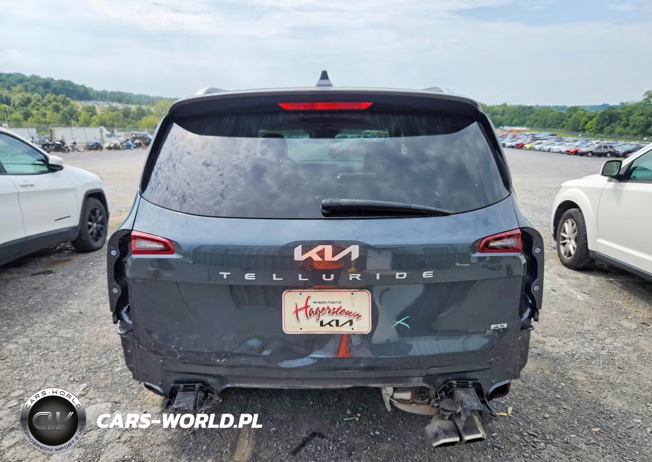 2024 Kia Telluride S VIN:5XYP6DGC5RG559541 - 6
