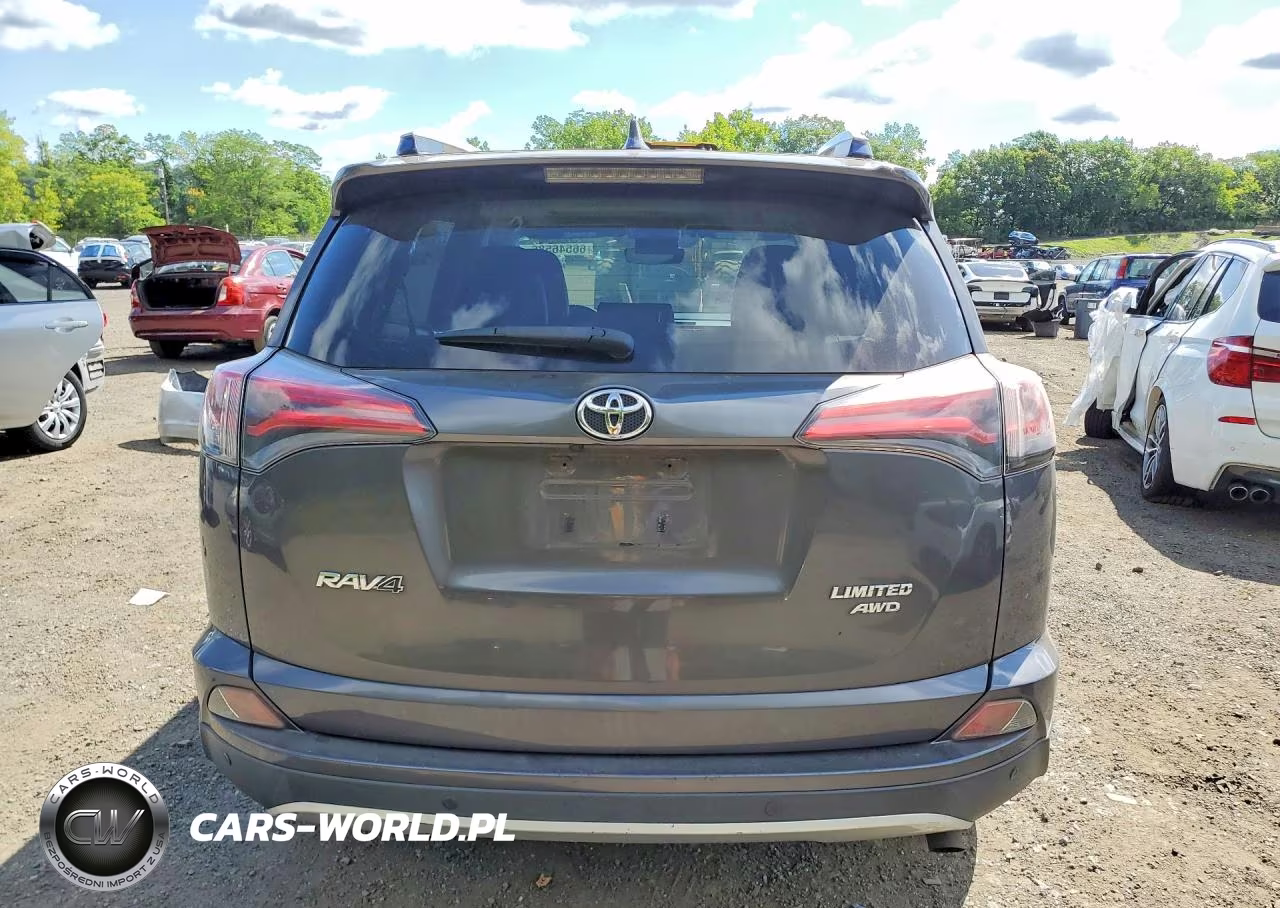 2016 Toyota Rav4 Limited VIN:JTMDFREV4GJ100308 - 6