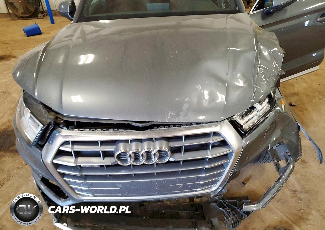 2019 Audi Q5 Premium Plus VIN:WA1BNAFY9K2064147 - 11