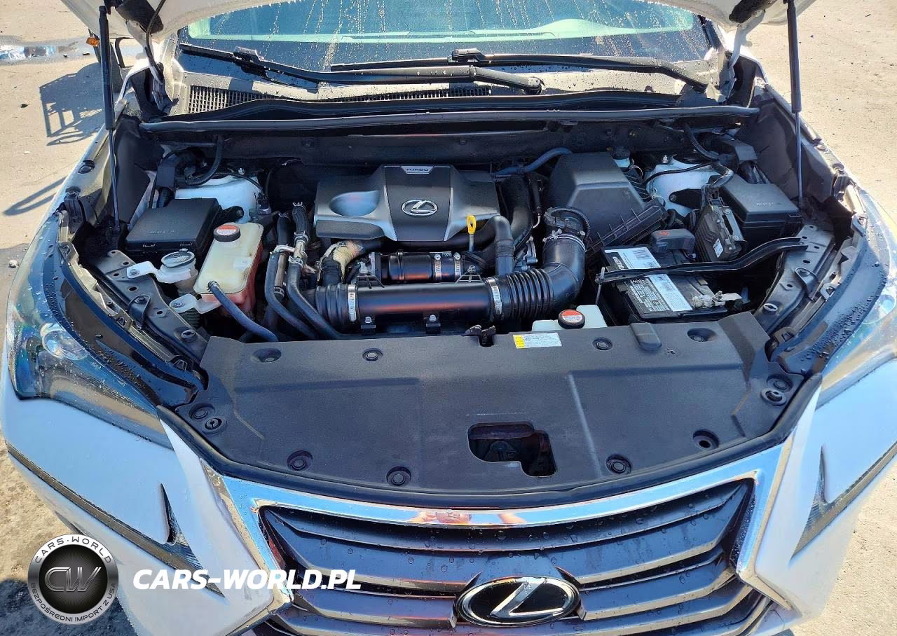 2016 Lexus Nx 200T Base VIN:JTJYARBZ2G2023520 - 12