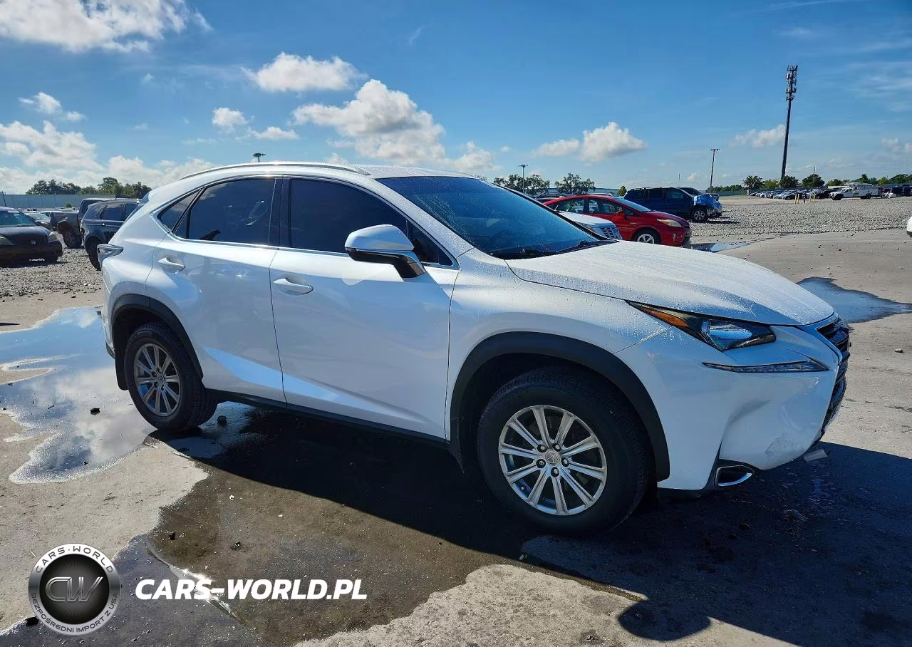 2016 Lexus Nx 200T Base VIN:JTJYARBZ2G2023520 - 4