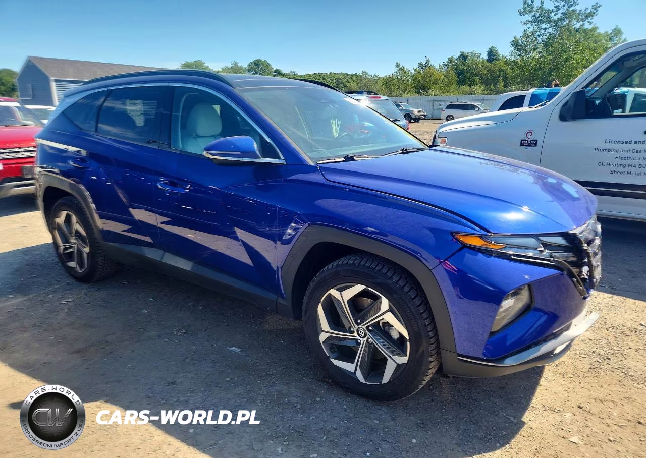 2022 Hyundai Tucson Limited VIN:5NMJECAE0NH091778 - 4