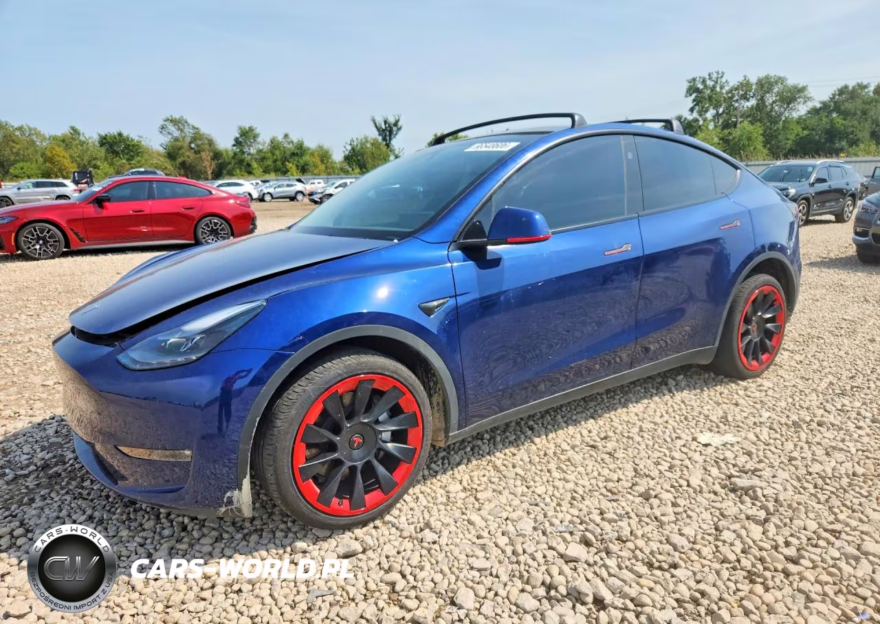 2024 Tesla Model Y VIN:7SAYGDEEXRF025435 - 1
