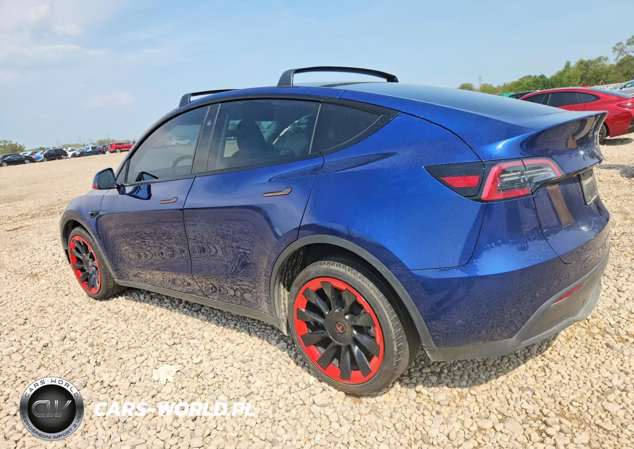2024 Tesla Model Y VIN:7SAYGDEEXRF025435 - 2