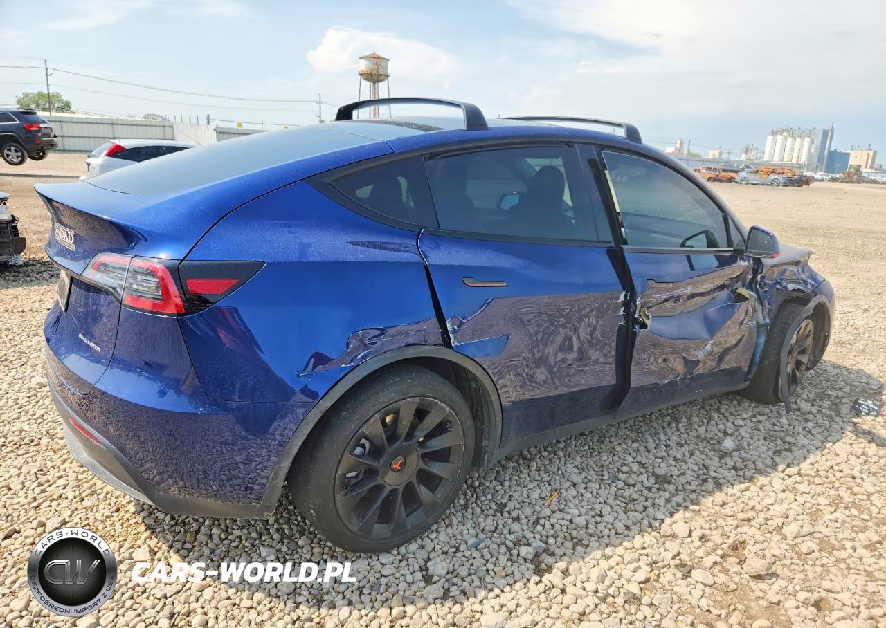 2024 Tesla Model Y VIN:7SAYGDEEXRF025435 - 3