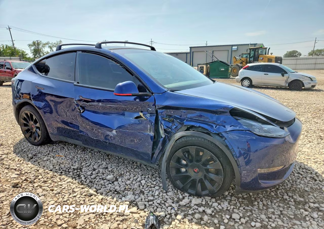 2024 Tesla Model Y VIN:7SAYGDEEXRF025435 - 4