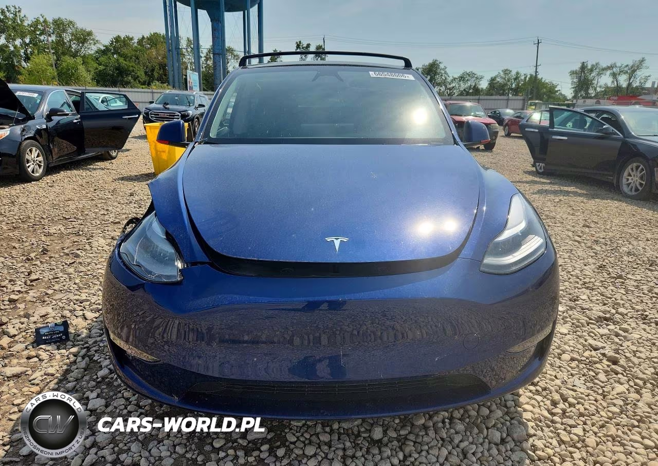 2024 Tesla Model Y VIN:7SAYGDEEXRF025435 - 5