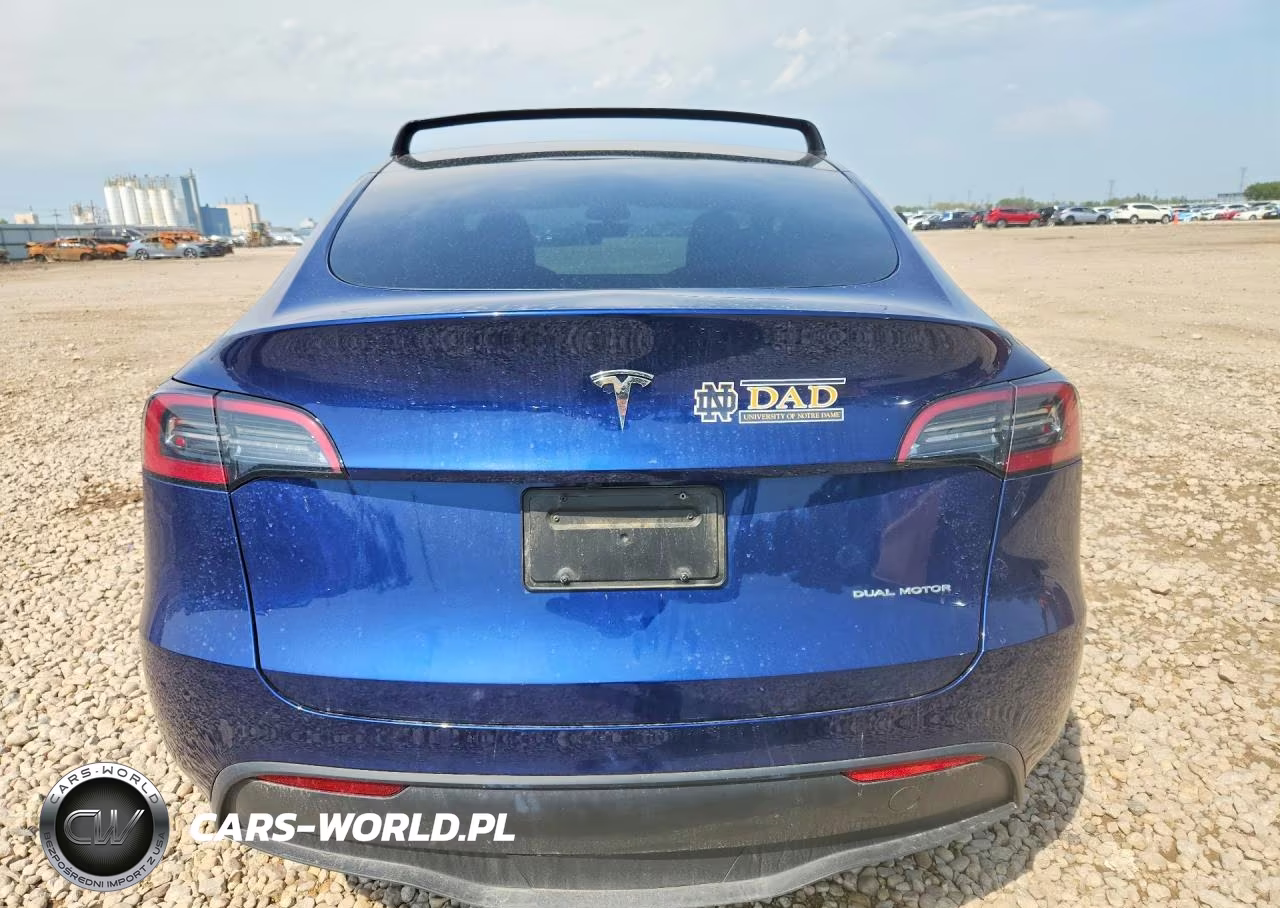 2024 Tesla Model Y VIN:7SAYGDEEXRF025435 - 6