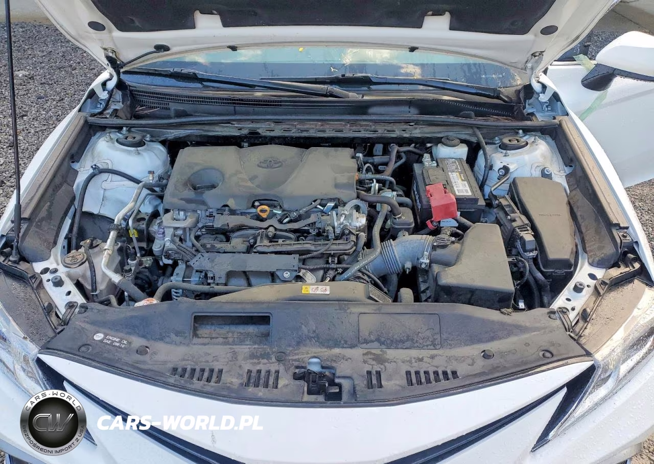 2023 Toyota Camry Le VIN:4T1C11AK9PU815036 - 11