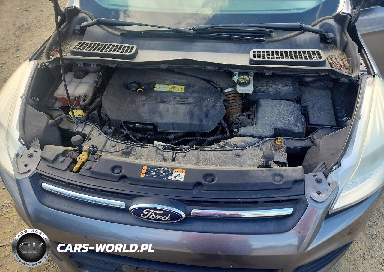 2014 Ford Escape Se VIN:1FMCU0GX8EUA49771 - 12