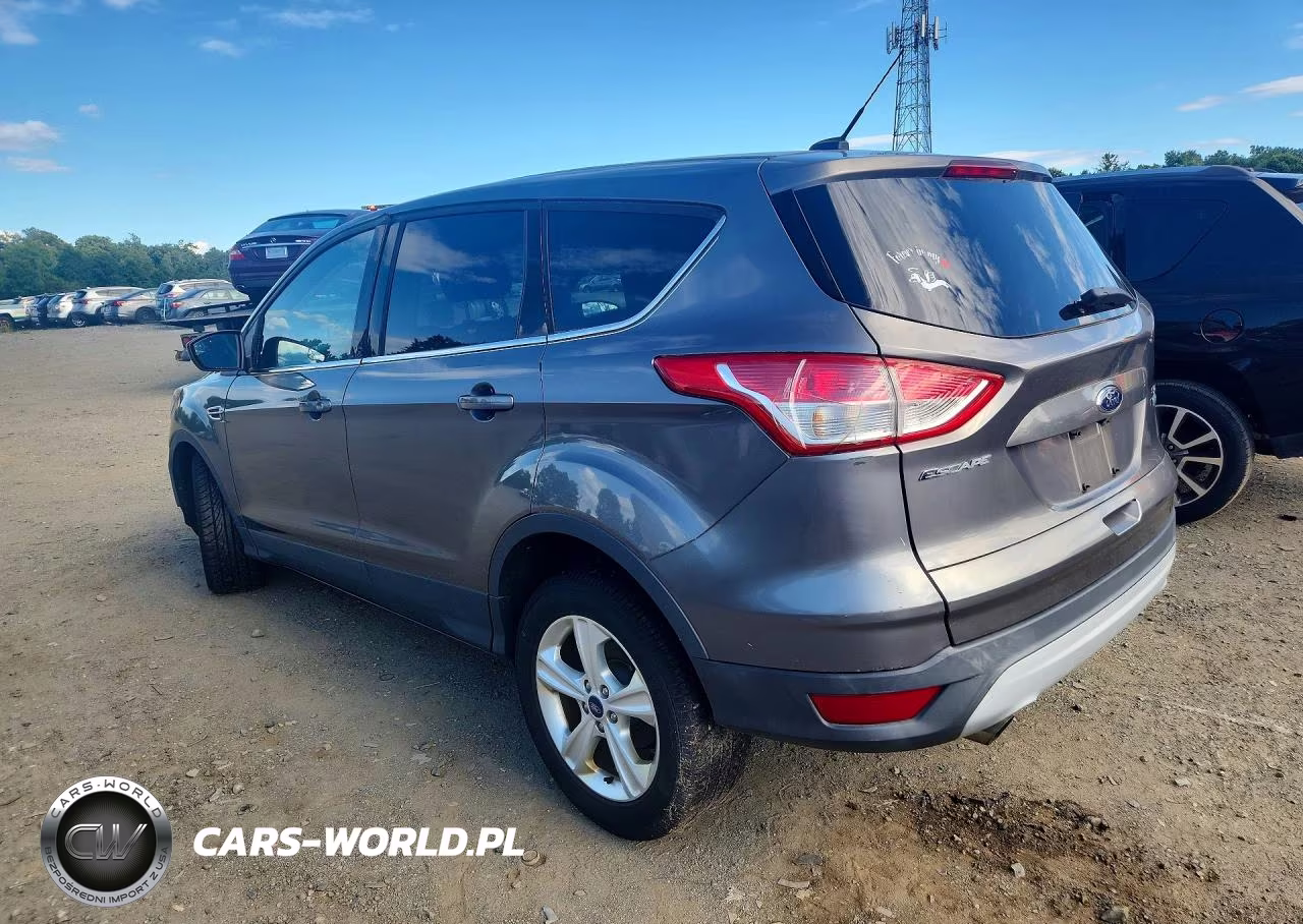 2014 Ford Escape Se VIN:1FMCU0GX8EUA49771 - 2