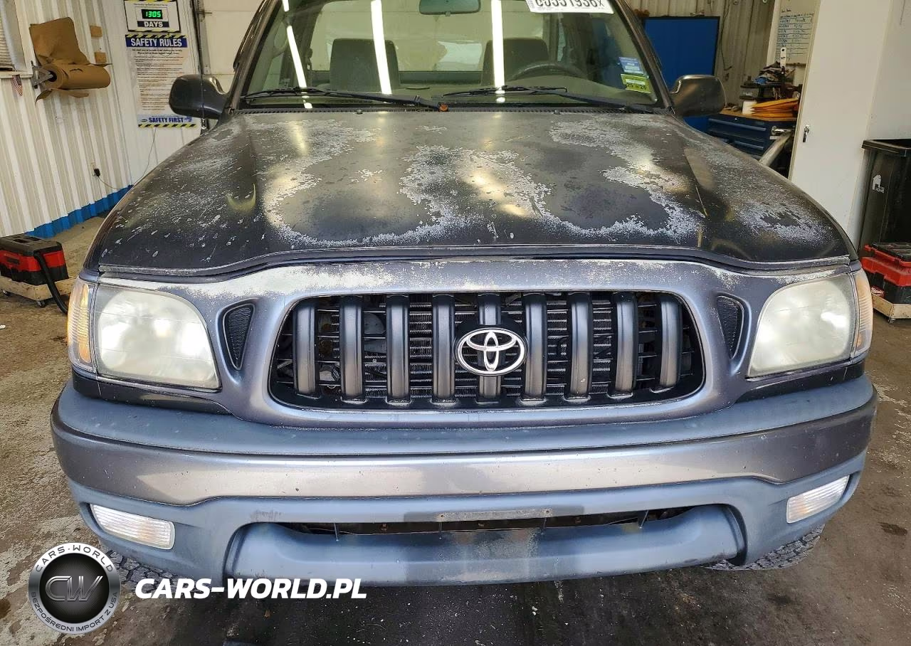 2001 Toyota Tacoma Base VIN:5TEPM62N61Z729975 - 11