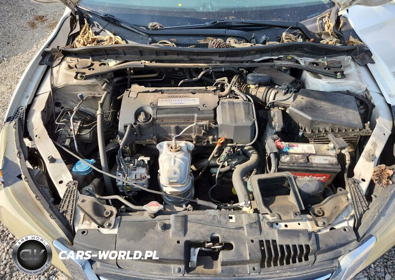 2014 Honda Accord Ex VIN:1HGCR2F77EA286712 - 11