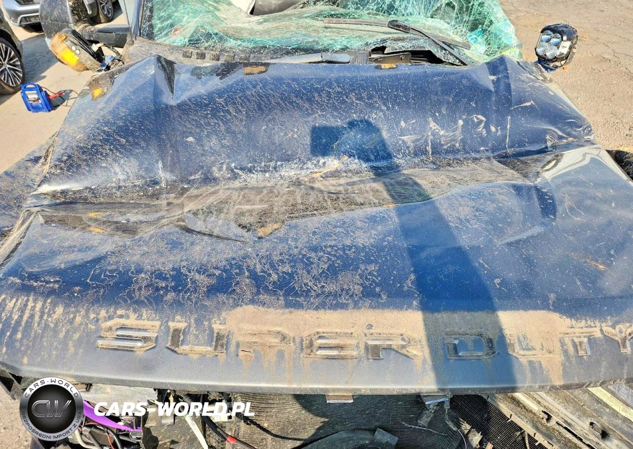 2020 Ford F350 Super Duty VIN:1FT8W3BN4LEE93491 - 11
