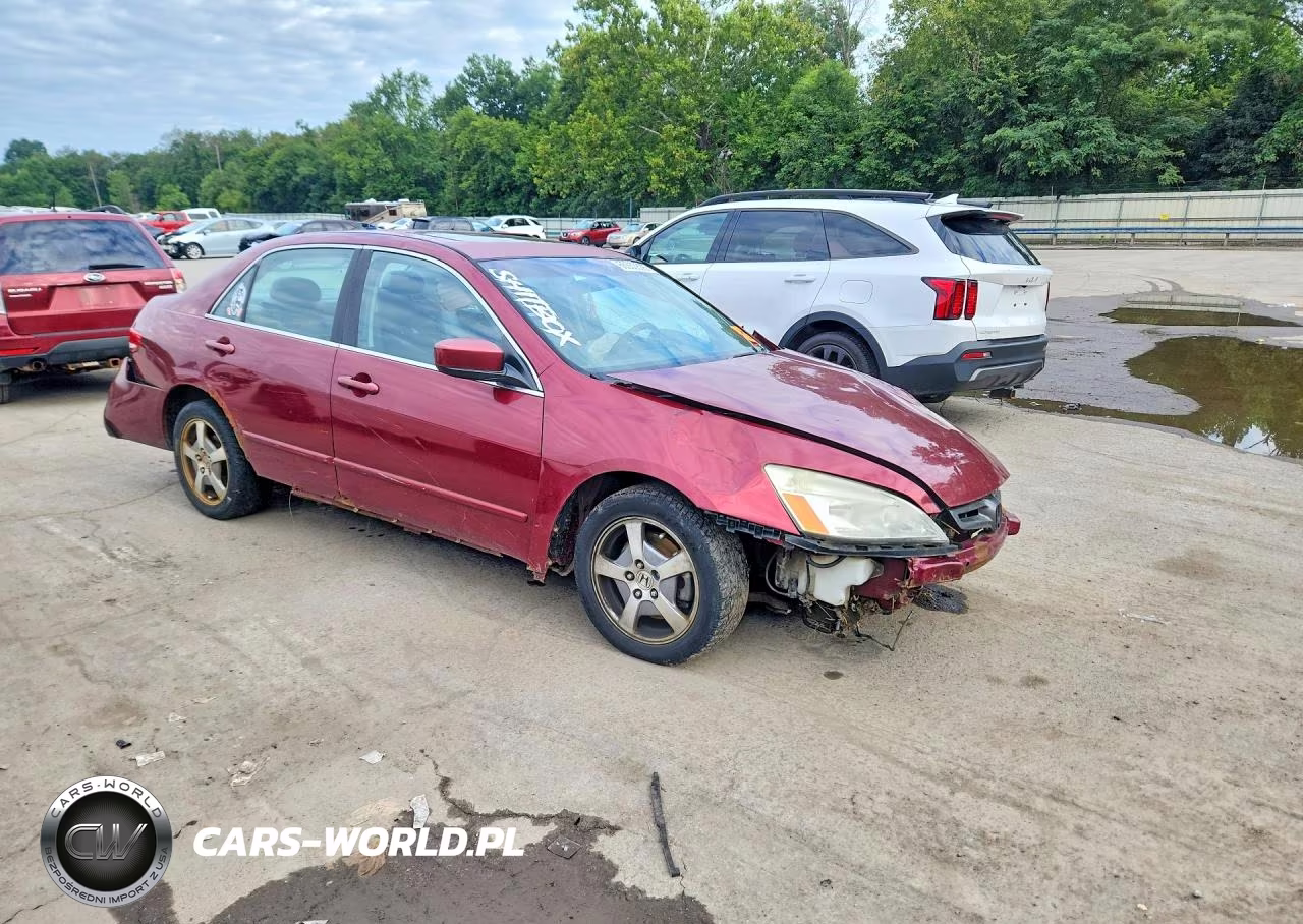 2004 Honda Accord Ex VIN:1HGCM66804A057902 - 4