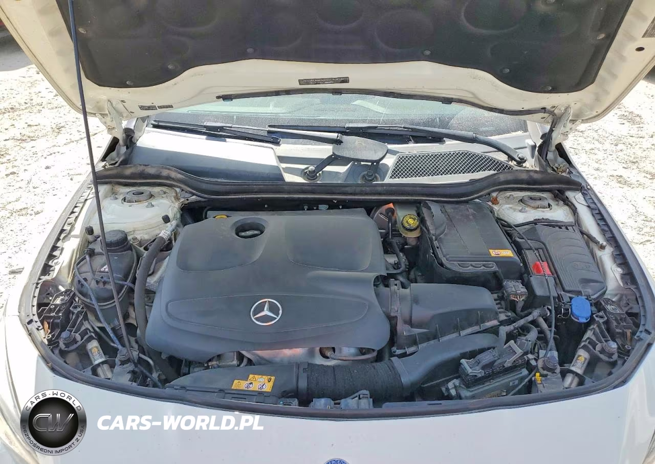 2014 Mercedes-Benz Cla 250 4Matic VIN:WDDSJ4GB4EN078267 - 12