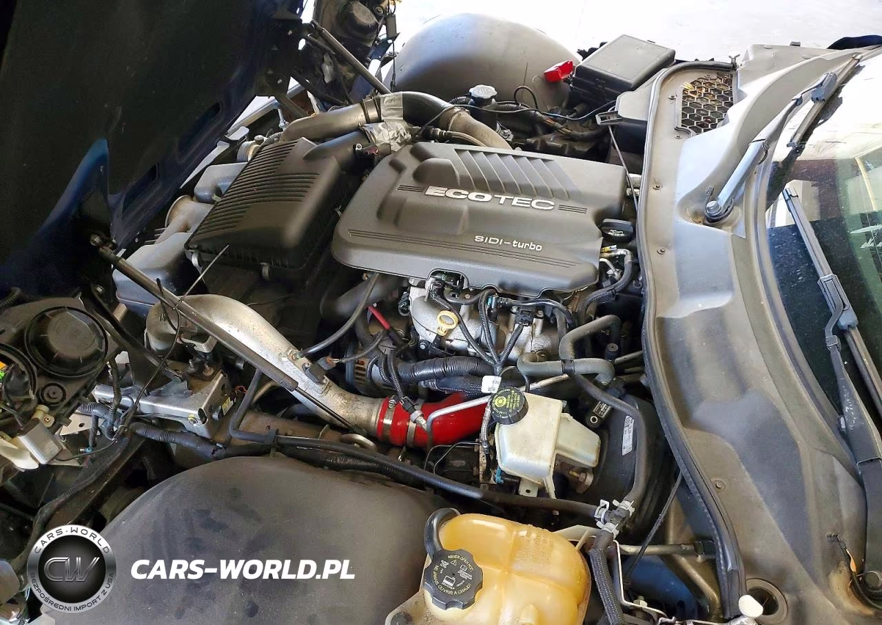 2009 Saturn Sky Redline VIN:1G8MT35X49Y101292 - 11