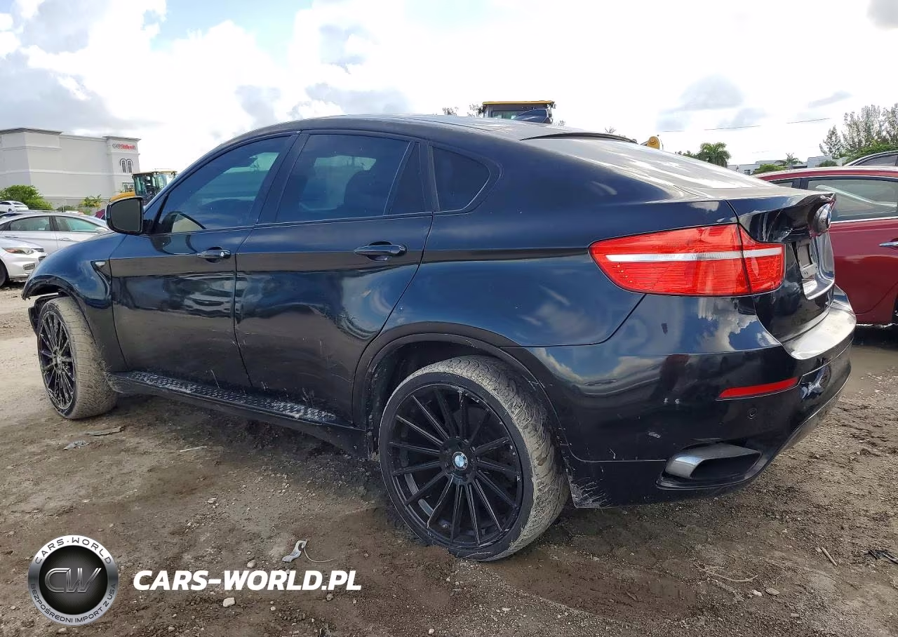 2011 BMW X6 xDrive50I VIN:5UXFG8C50BLZ95231 - 2