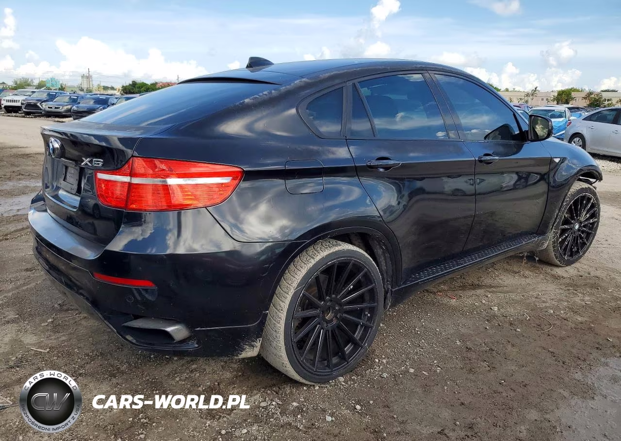 2011 BMW X6 xDrive50I VIN:5UXFG8C50BLZ95231 - 3