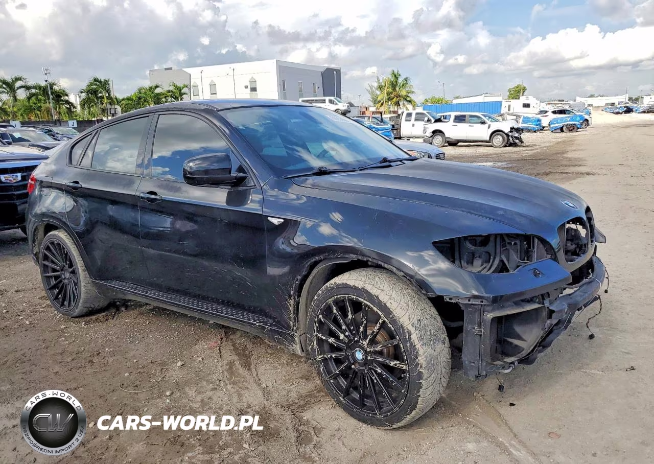 2011 BMW X6 xDrive50I VIN:5UXFG8C50BLZ95231 - 4