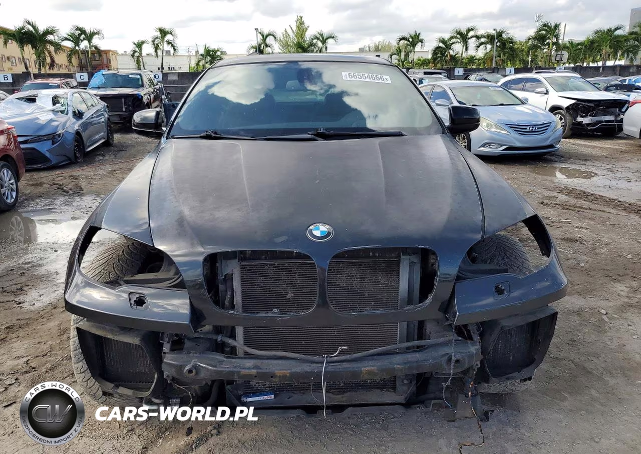 2011 BMW X6 xDrive50I VIN:5UXFG8C50BLZ95231 - 5