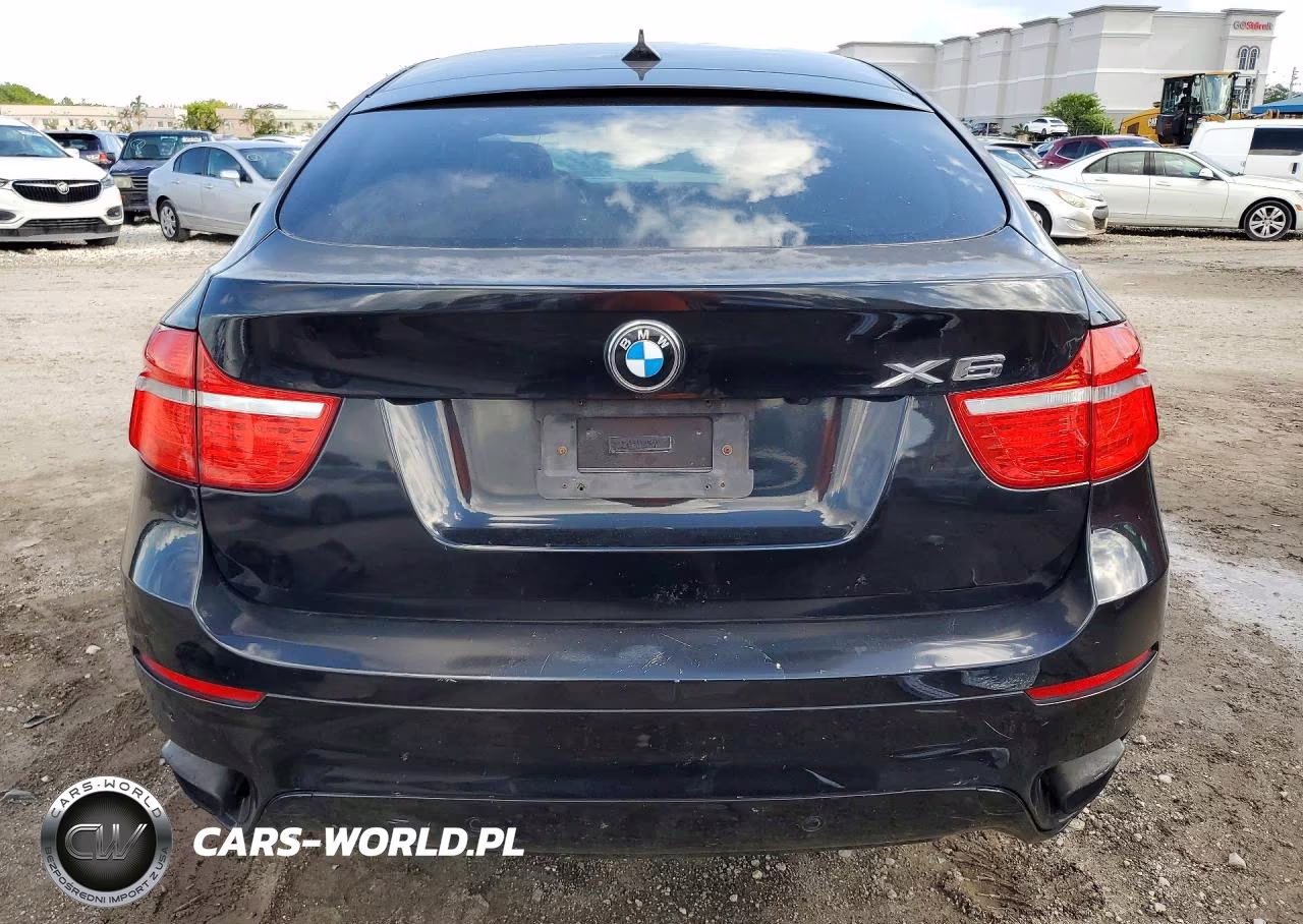 2011 BMW X6 xDrive50I VIN:5UXFG8C50BLZ95231 - 6